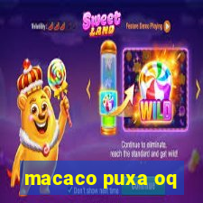 macaco puxa oq